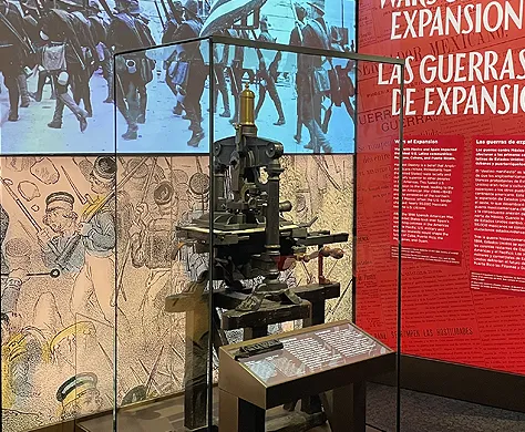 Molina Family Latino Gallery